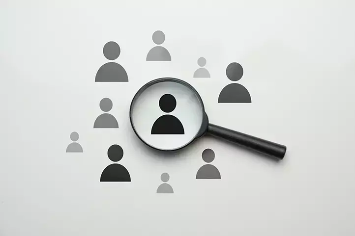 Vireo Team, Hiring Process